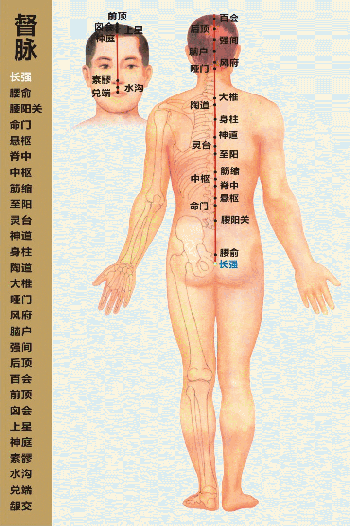 最全经络高清动图,再也不怕找不到穴位了,能治病,能按摩!